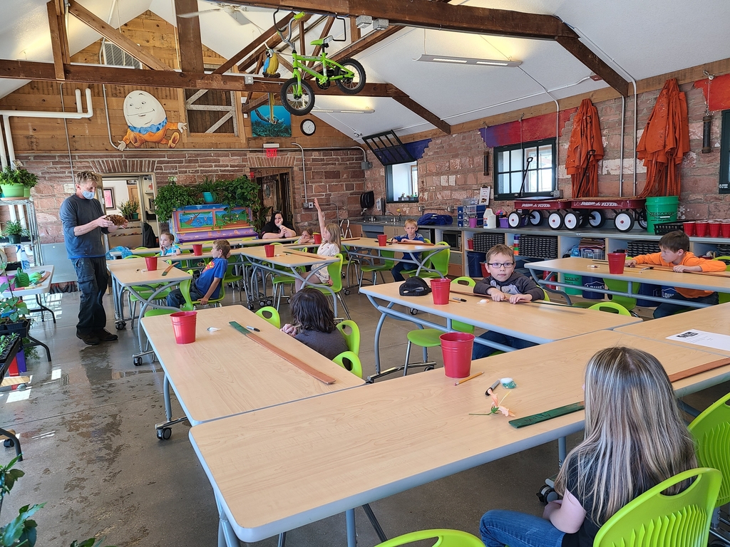 learning about plants