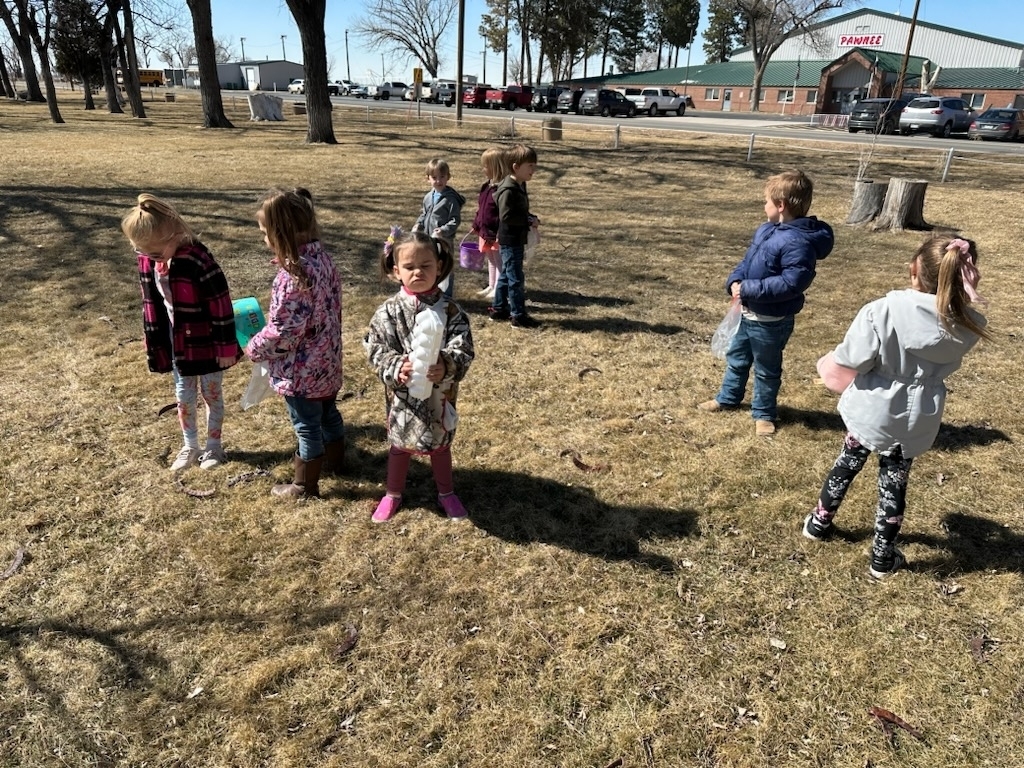 The students looked for eggs.