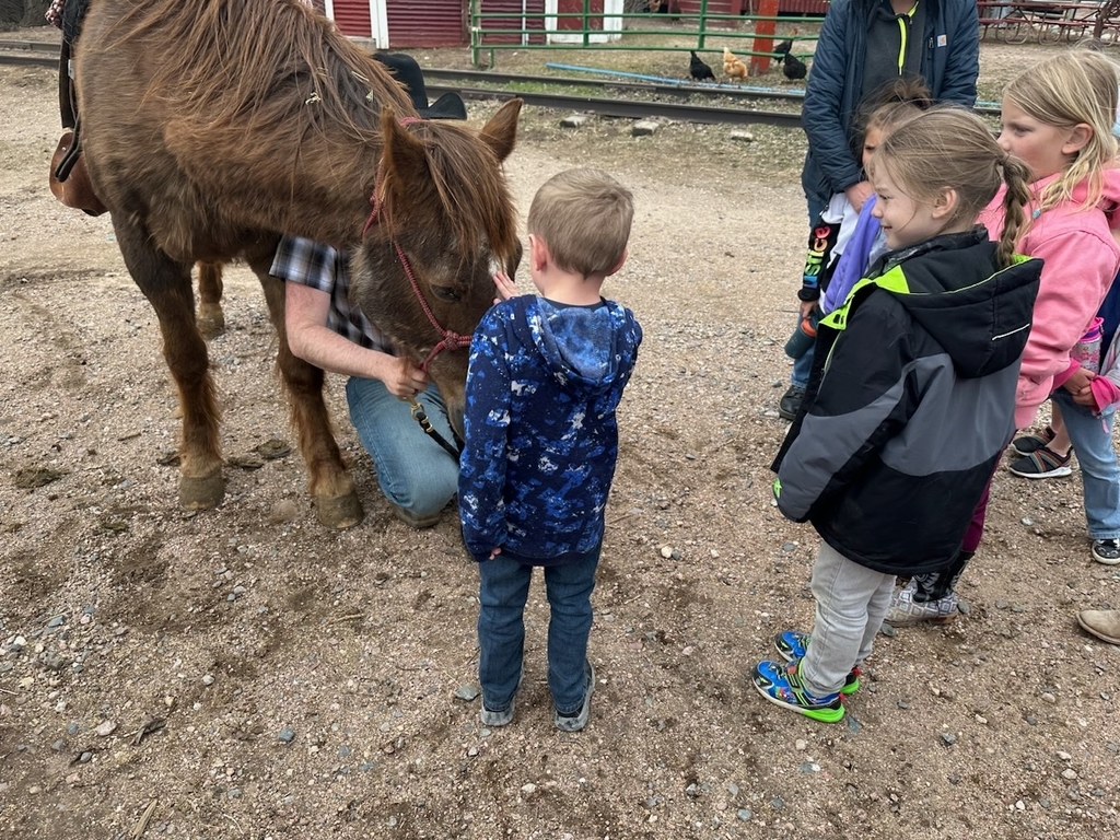 The students were petting the horse.