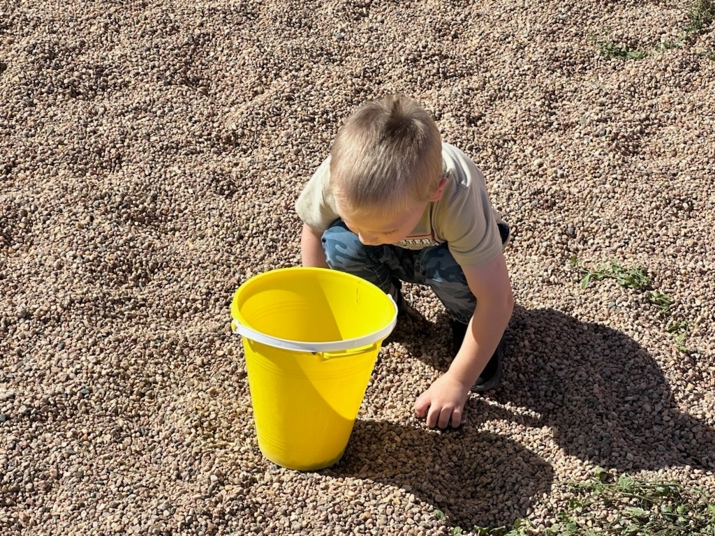 Colt playing with a bucket.